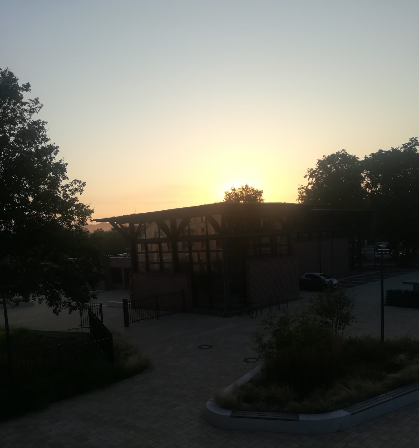 Beginn des neuen Schuljahrs 2021/22 Schule auf der Bult